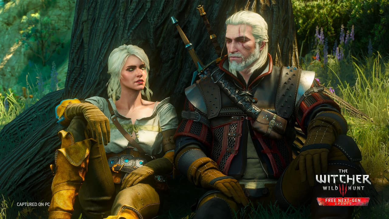 Rest beneath an old tree