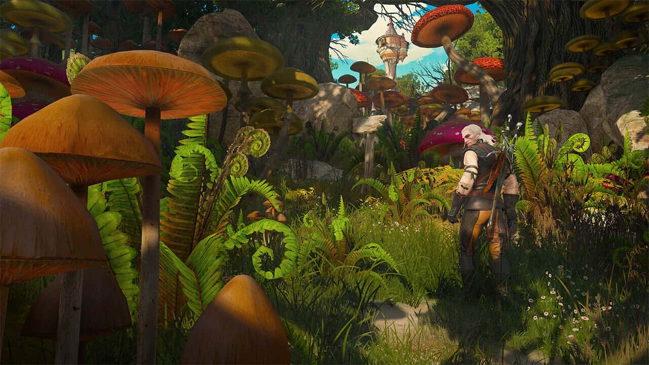 A forest of giant mushrooms in a storybook land