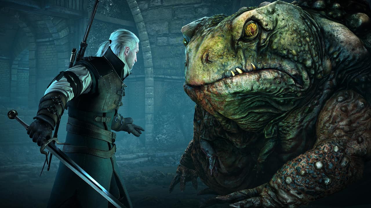 The toad beneath the Oxenfurt sewers